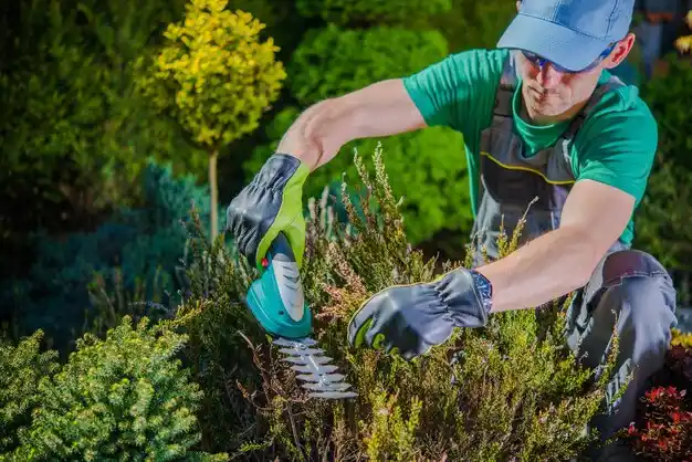 landscaping services Green